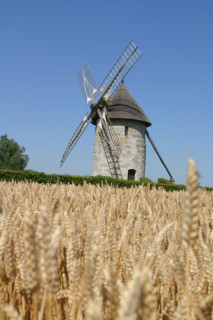 France, Haute Normandie, eure, moulin a vent, Hauville, champ de ble mur, cereales,