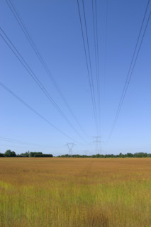 France, agriculture