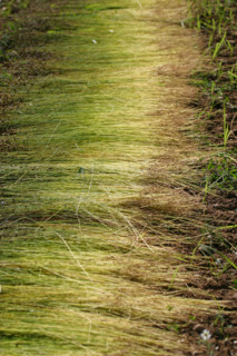 France, agriculture
