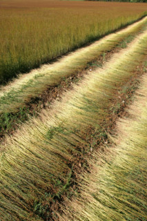 France, agriculture