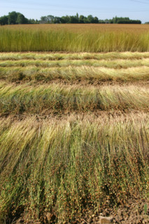 France, agriculture
