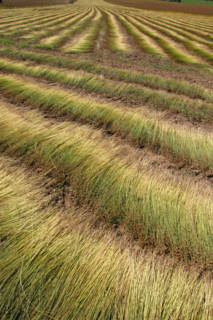France, agriculture
