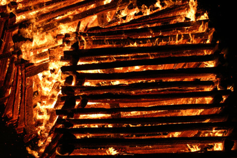 France, la haye de routot