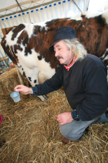 France, Haute Normandie, eure, evreux, fete de la pomme 4 novembre 2006, traite de la vache, fermier, costume traditionnel,