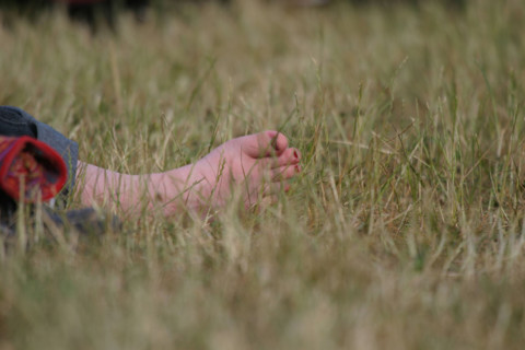 France, Haute Normandie, eure, evreux, festival : Le Rock Dans Tous Ses Etats, public, pied dans l'herbe,