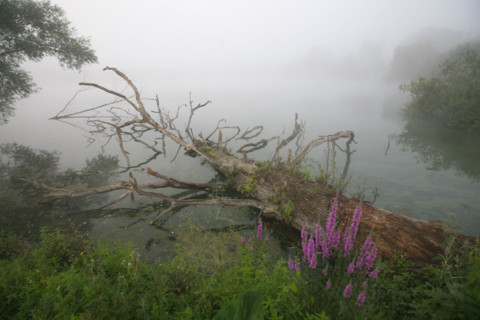 France, artificial lake