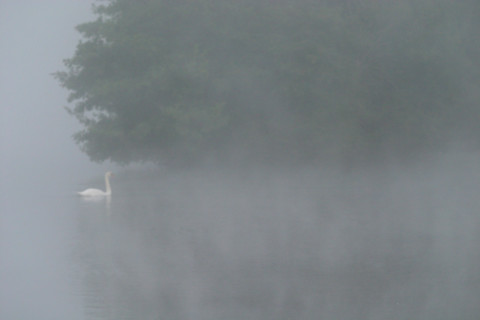 France, artificial lake