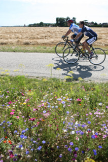 France, Normandie, eure, pays d'evreux, gauciel, cyclistes, route, bandes fleuries ,