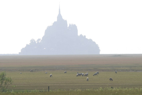 France, Mont-Saint-Michel Bay