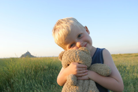 France, Normandie, Manche, baie du Mont-Saint-Michel, enfant de 4 ans Felix et doudou, ours en peluche, champ, personnage autorise,