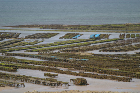 France, blainville sur mer