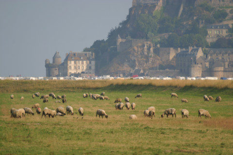 France, Mont-Saint-Michel Bay