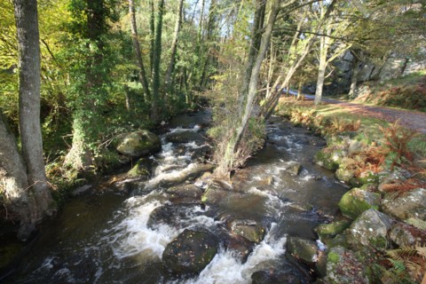 France, Normandie, Manche, la fosse arthour, saint georges de rouelley, riviere, cours d'eau, cascade, arbres, chemin,
