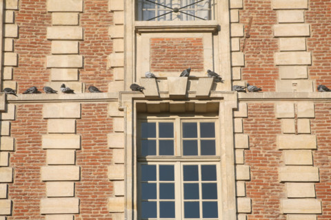 France, place des vosges