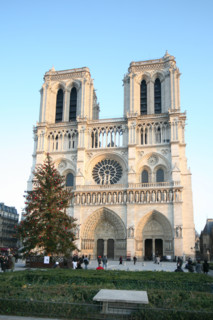 France, Paris 4e, ile de la cite, cathedrale Notre-Dame de Paris, art gothique et neo gothique, parvis, sapin de noel 2007,