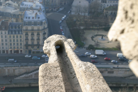France, cathedral of notre dame de paris