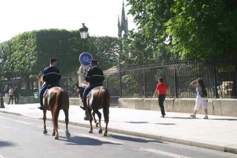 France, Paris 4e, ile de la cite, garde republicaine a cheval, pont de l'archeveche, derriere le square jean 23,
