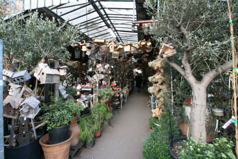 France, flower market
