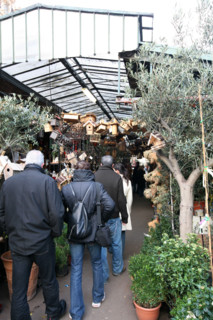 France, flower market