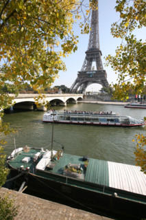 France, Paris 7e, Tour Eiffel pendant la coupe du monde de rugby en octobre 2007, peniche, arbres,