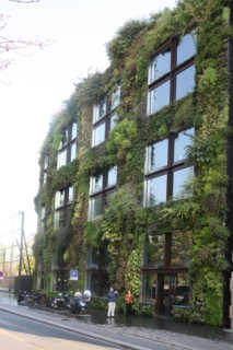 France, paris 7e, musee du quai branly, mur vegetal concu par patrick blanc,
