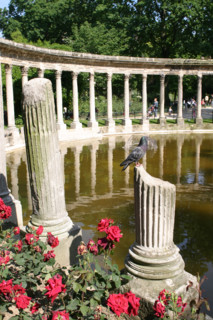 France, Paris 8e, parc Monceau, jardin, la naumachie, colonnade autour du plan d'eau, rosiers,