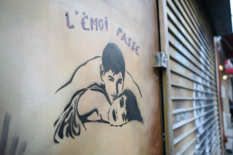 France, le merle moqueur bar