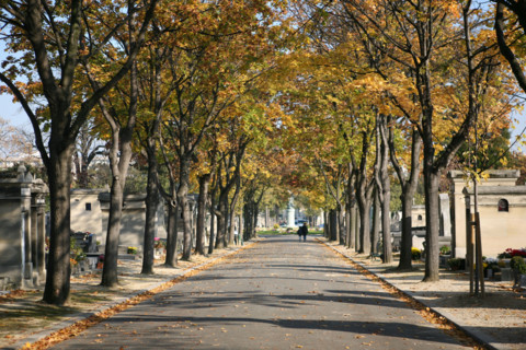France, alley