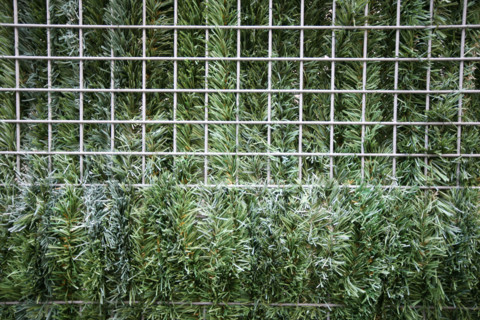France, Paris 20e, Belleville, vegetation qui deborde d'un grillage,