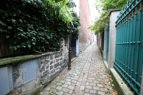 France, Paris 20e, belleville passage plantin, paves,