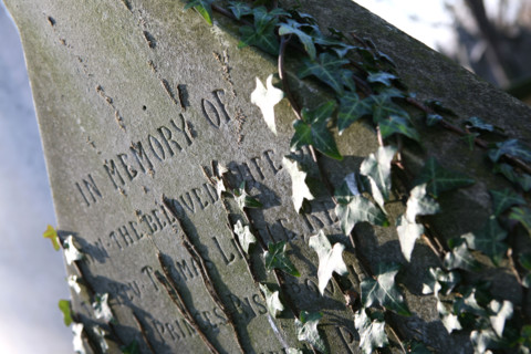France, cimetiere