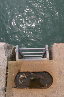 France: Normandie, Seine Maritime, le havre, mer, symbole, eau, echelle de quai sur le port