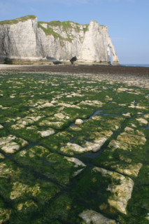 France, Normandie, Seine Maritime, cote d'albatre etretat, falaise d'aval, maree basse, plage, algues,