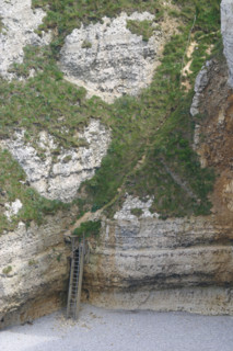 France, cote d'albatre