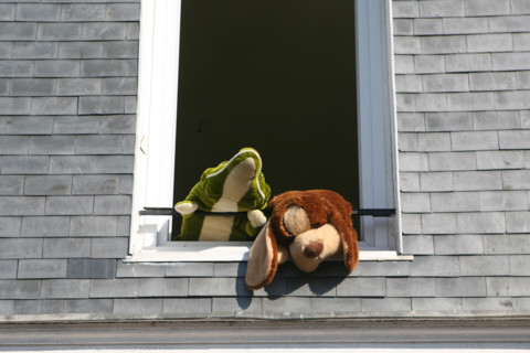 France: Normandie, Seine Maritime, le havre, immeuble, pres de la maison de l'armateur, peluches a la fenetre, ardoise,