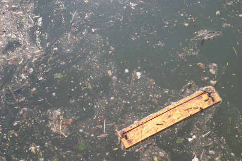 France, Normandie, Seine Maritime, pollution de l'eau sur la Seine, detritus, dechets, salete, developpement durable,