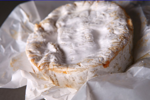 France, Normandie, gastronomie normande, fromage, camembert au lait cru de marque gillot, moule a la louche,