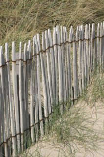 France, cotentin