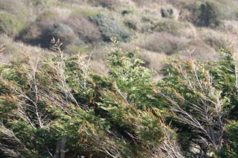 France, cotentin