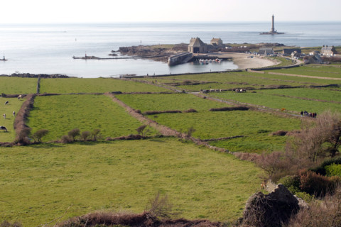 France, Basse Normandie, Manche, Cotentin, cap de la hague, goury, phare de goury, raz blanchard, champs, agriculture, panorama, vaches normandes, port,