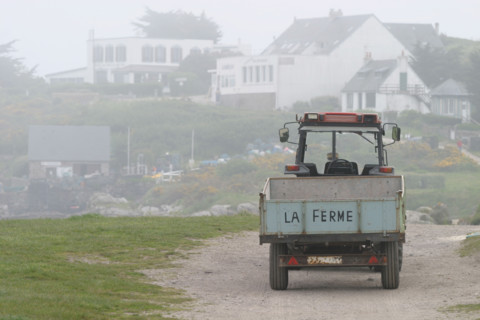 France, chausey islands