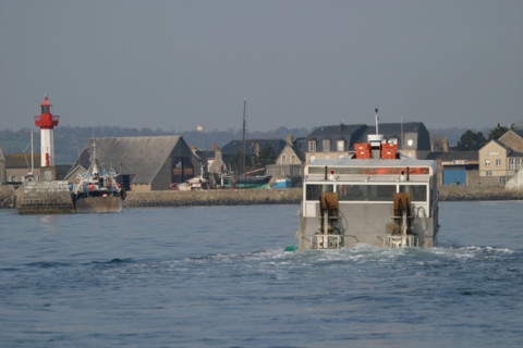 France, Basse Normandie, Manche, val de saire, ile tatihou, face a saint vaast la hougue, vehicule amphibie navigant par maree haute, bateau, navette,