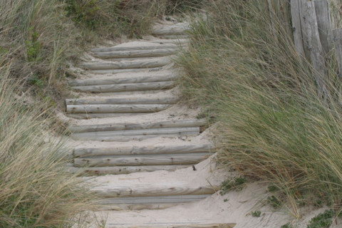 France, Basse Normandie, Manche, iles chausey, au large de granville, grande ile, dunes, sable, oyats,