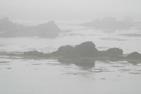 France, chausey islands