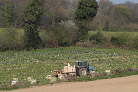 France, tractor