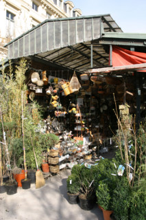 France, flower market