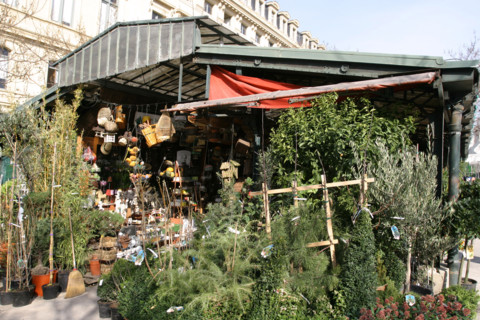 France, flower market