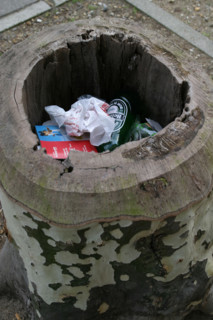 France, trunk of sycamore serving as trash