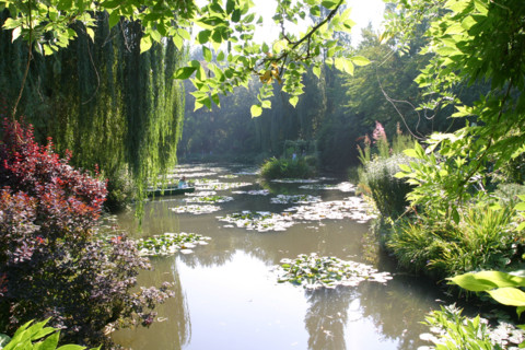 France, Normandie, eure, giverny, maison de claude monet, peintre impressionniste, nympheas, jardin, etang, fleurs,