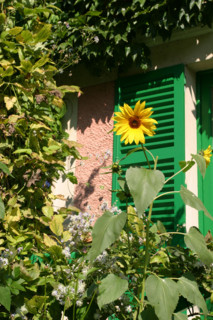 France, Normandie, eure, giverny, maison de claude monet, peintre impressionniste, nympheas, jardin, etang, fleurs,
